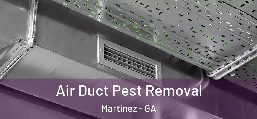  Air Duct Pest Removal Martinez - GA