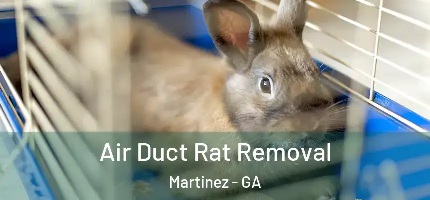  Air Duct Rat Removal Martinez - GA
