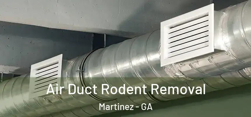  Air Duct Rodent Removal Martinez - GA