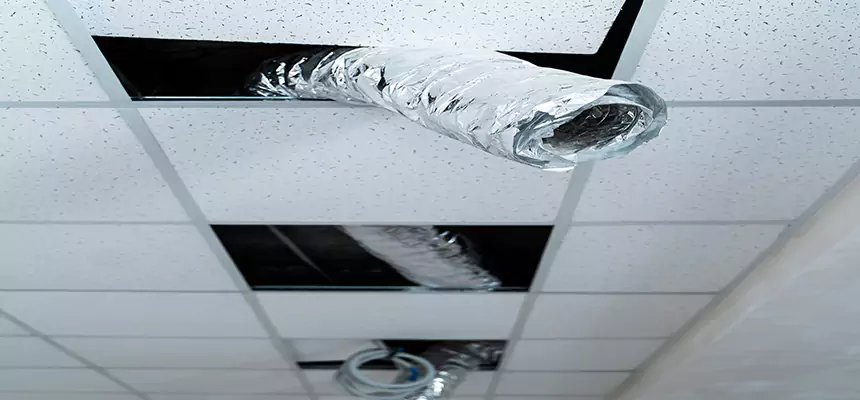 Affordable HVAC Sanitizing After Pest Removal in Martinez