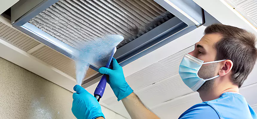 Proactive Dryer Vent & Auxiliary Duct Pollen Cleanup in Martinez, GA