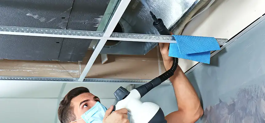Our Air Duct Rodent Removal Services in Martinez, GA