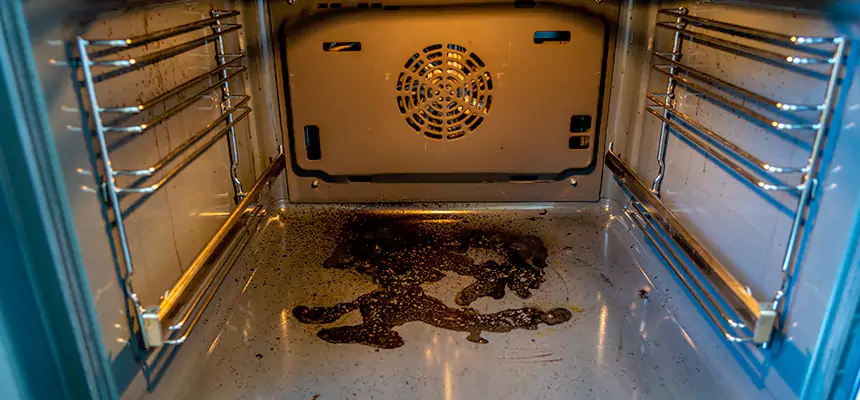 Our Dryer Vent Mold Cleaning Services in Martinez, GA