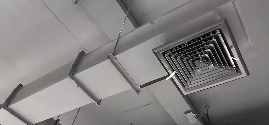 Our Rodent Droppings In Vents Services in Martinez, GA