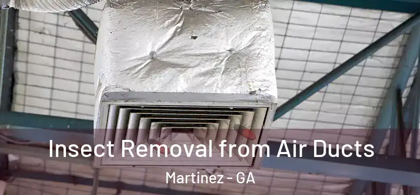  Insect Removal from Air Ducts Martinez - GA