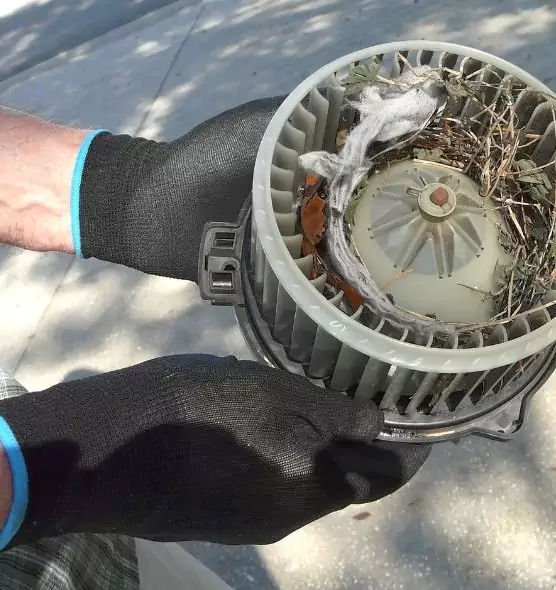 About Air Duct Mice Removal in Martinez, GA