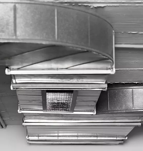 Professional Air Duct Pet Hair Removal in Martinez, GA