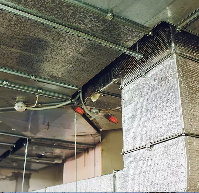 Why Homeowners & Businesses Trust Us in Martinez, GA?