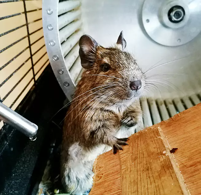 Why Homeowners & Businesses Trust Us Martinez, GA?