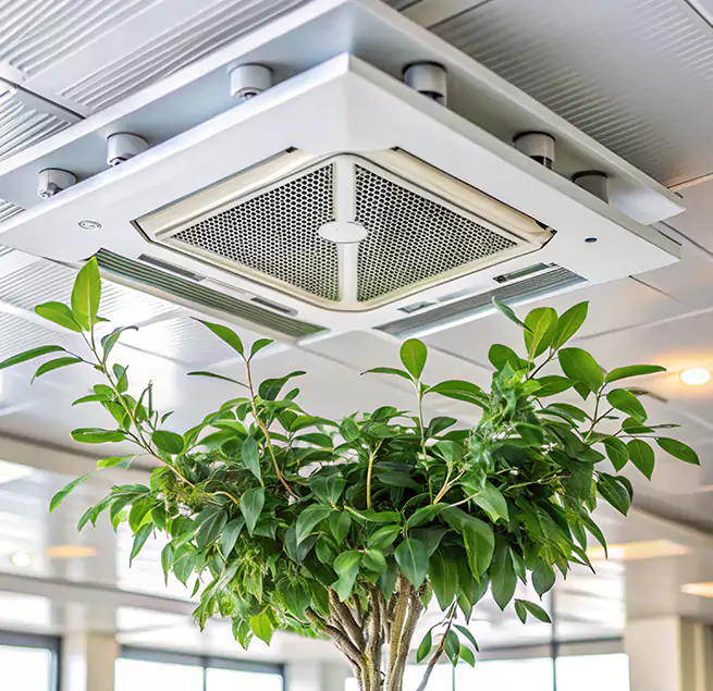 Why Homeowners & Businesses Trust Us in Martinez, GA?